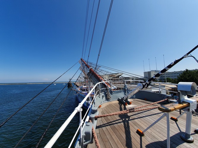 20190726_133913.jpg