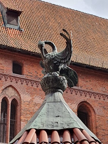 20190727_151150.jpg