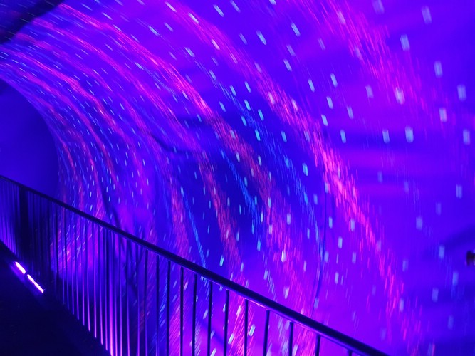 20190728_183748.jpg