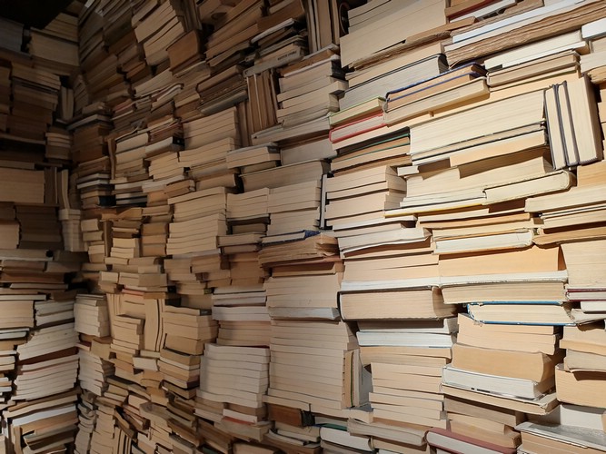 20190730_113255.jpg