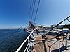 20190726_133913.jpg