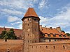 20190727_124901.jpg