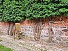 20190727_150152.jpg