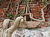 20190727_150924.jpg