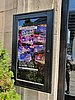 20190728_114012.jpg