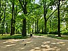 20190728_143620.jpg