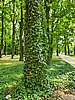 20190728_143643.jpg