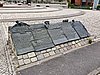 20190730_105456.jpg