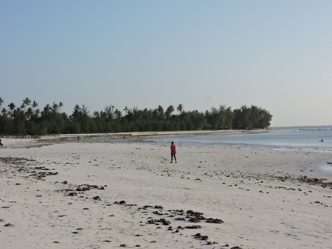DSCN9150.JPG