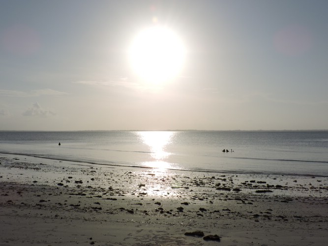 DSCN9154.JPG