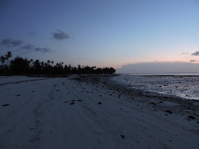DSCN9161.JPG