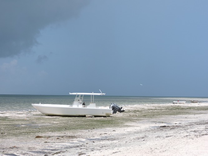 DSCN9173.JPG