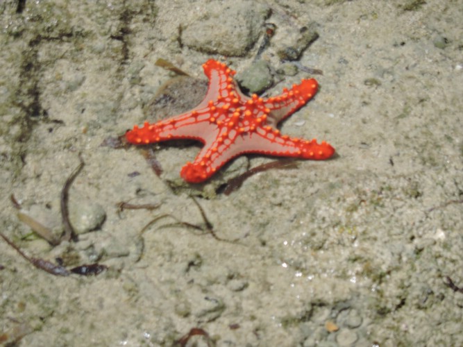 DSCN9277.JPG