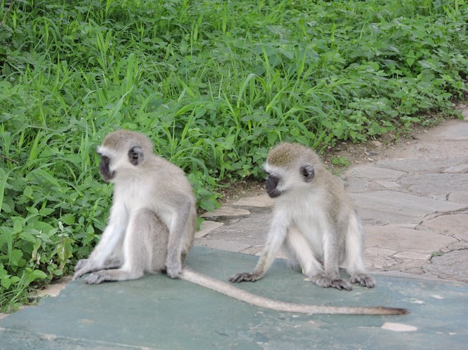 DSCN9363.JPG