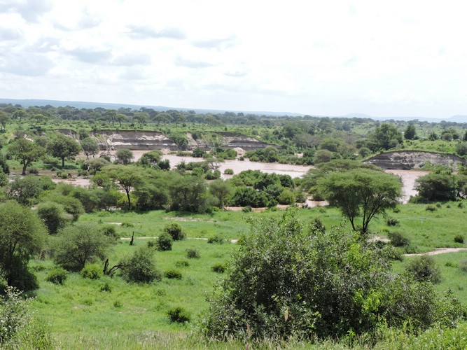 DSCN9376.JPG