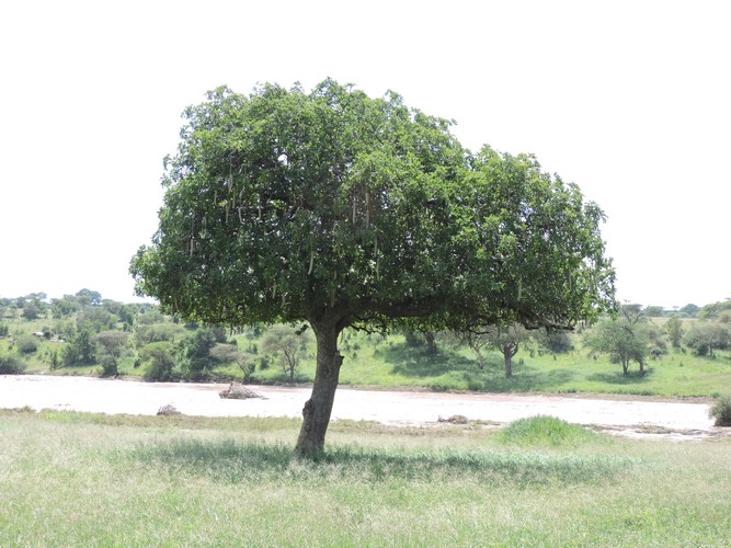 DSCN9408.JPG