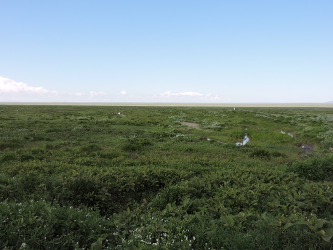 DSCN9507.JPG