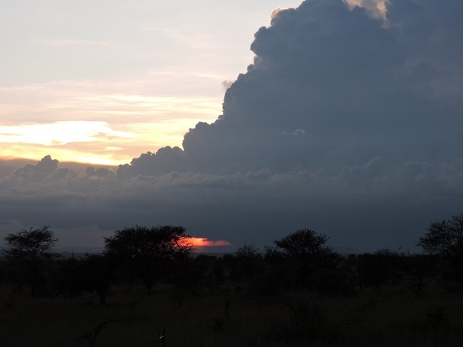 DSCN9516.JPG
