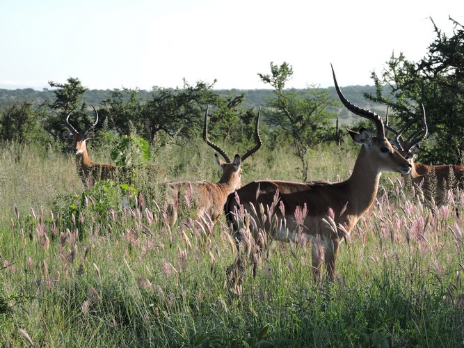 DSCN9519.JPG