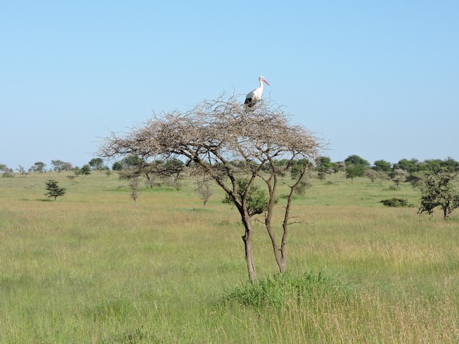 DSCN9522.JPG