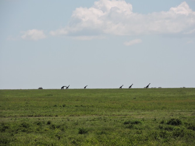 DSCN9577.JPG