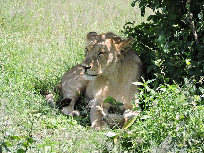 DSCN9607.JPG