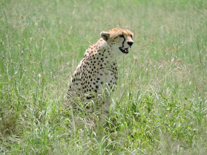 DSCN9633.JPG