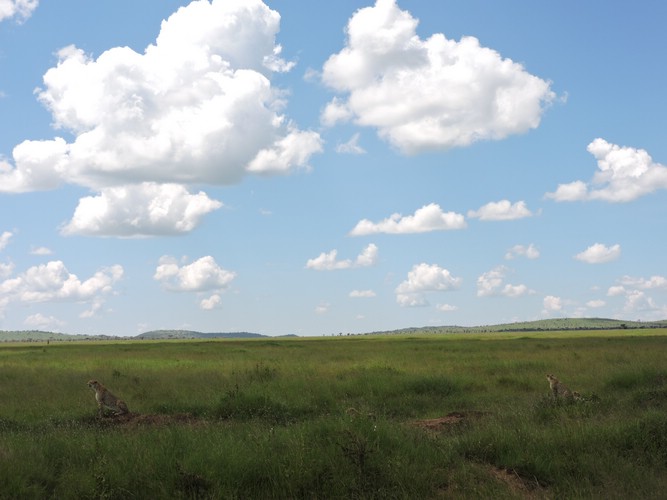 DSCN9659.JPG