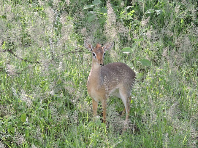 DSCN9689.JPG