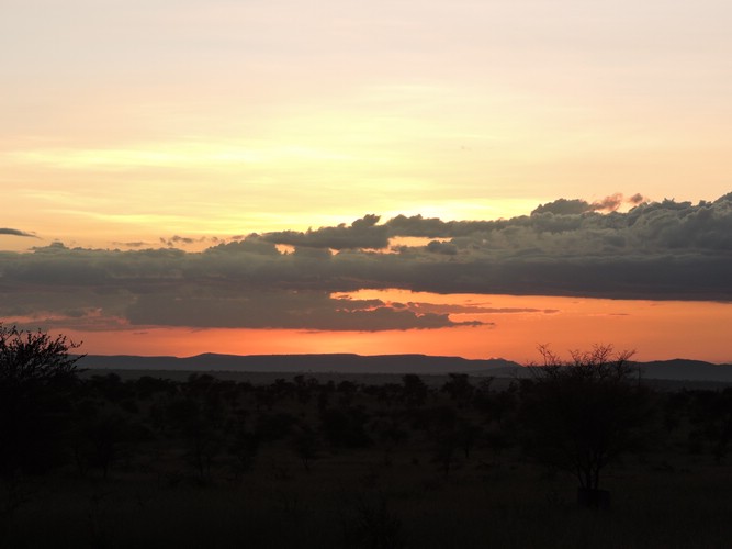 DSCN9731.JPG