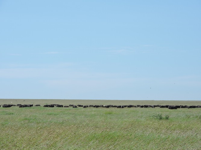 DSCN9785.JPG