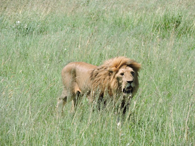 DSCN9803.JPG