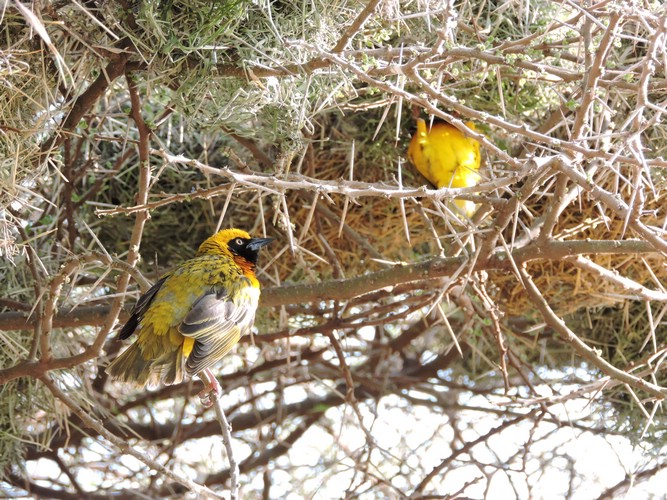 DSCN9817.JPG