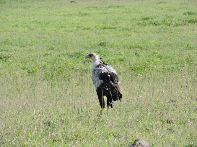 DSCN9818.JPG