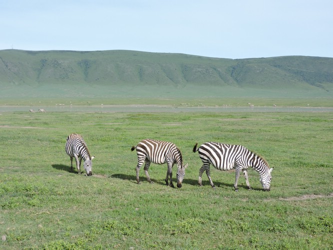 DSCN9838.JPG