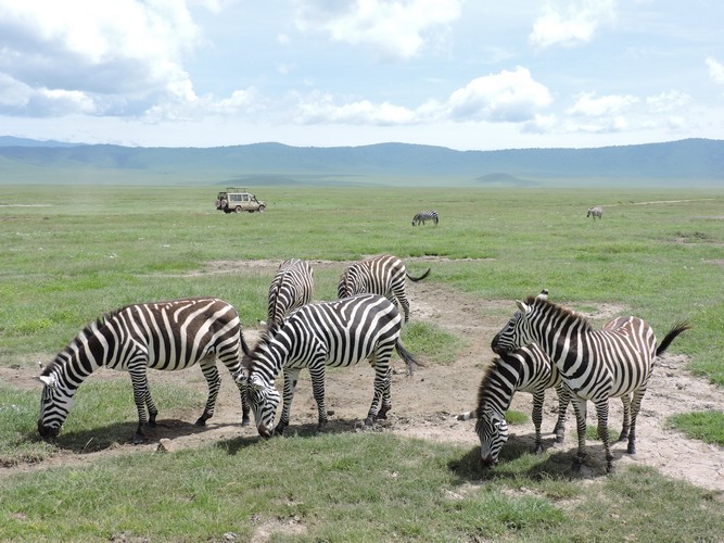 DSCN9929.JPG