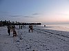 DSCN9207.JPG