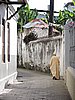 DSCN9244.JPG