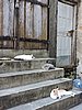 DSCN9252.JPG