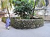 DSCN9261.JPG
