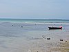 DSCN9275.JPG
