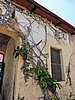 DSCN9281.JPG