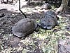DSCN9283.JPG