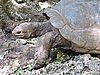 DSCN9287.JPG