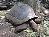 DSCN9289.JPG