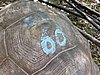 DSCN9294.JPG