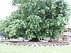 DSCN9339.JPG