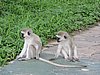 DSCN9363.JPG