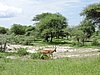 DSCN9364.JPG