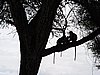 DSCN9370.JPG